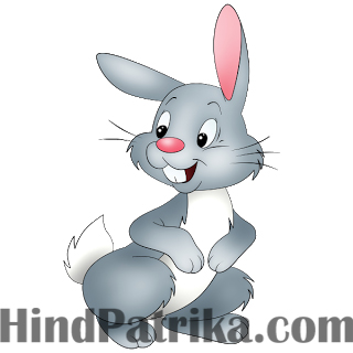 Bunny and his Friends Bunny and his Friends