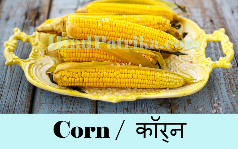 corn Hind Patrika