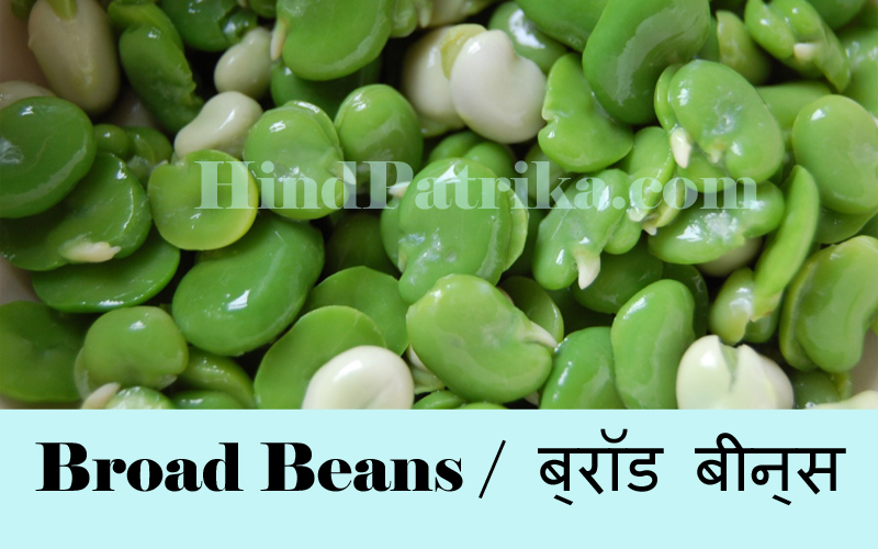 Vegetables Name in Hindi  Sabjiyo ke Naam Hindi v Angrezi 