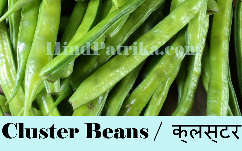 Vegetables Name in Hindi Sabjiyo ke Naam Hindi v Angrezi mein