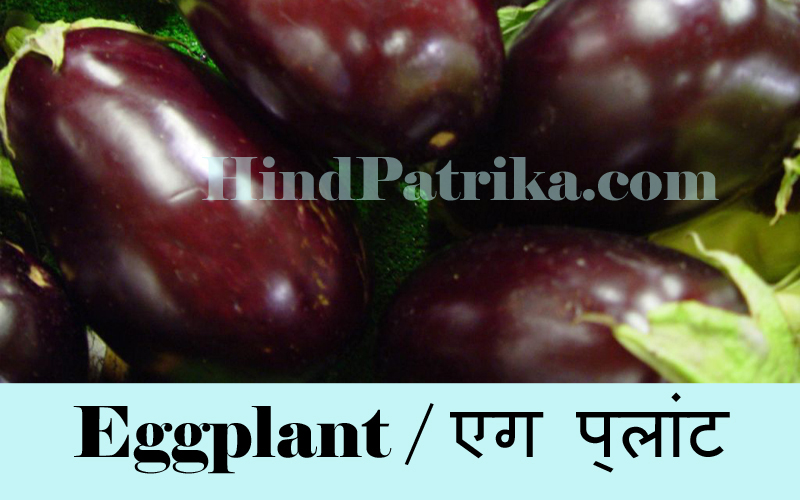 Vegetables Name in Hindi Sabjiyo ke Naam Hindi v Angrezi mein
