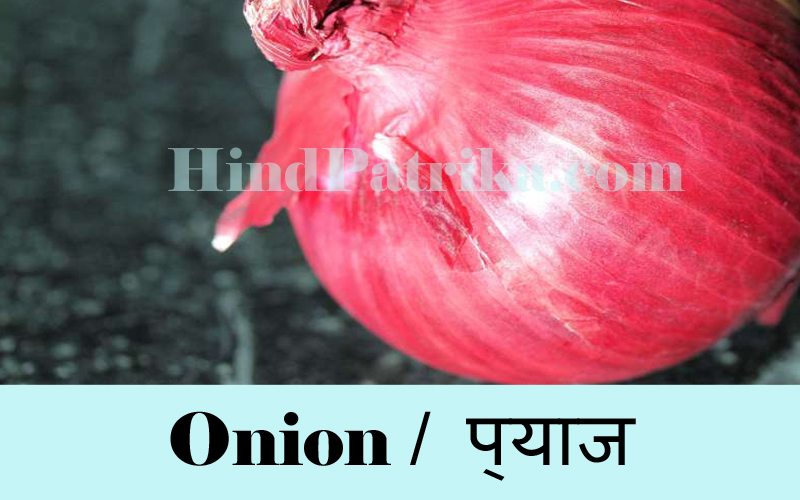 Vegetables Name in Hindi Sabjiyo ke Naam Hindi v Angrezi mein
