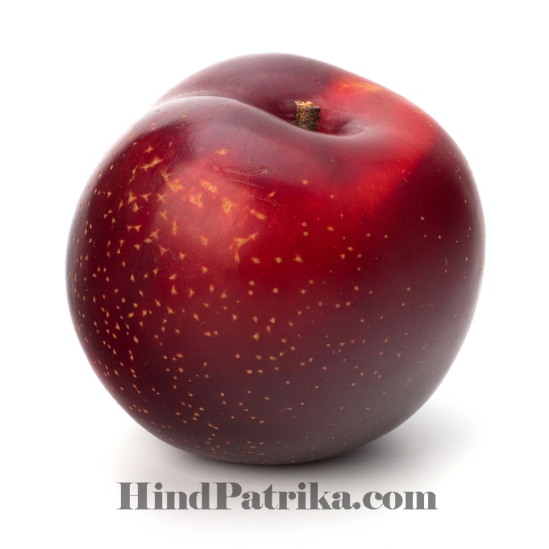 Fruits Name in Hindi Falo Ke Naam Hindi Aur Englih Mein HindPatrika