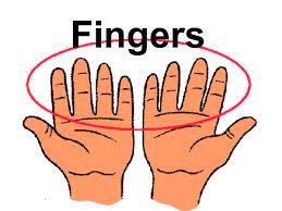 Body Parts in Hindi | शरीर के अंगो के नाम हिंदी व अंग्रेजी में