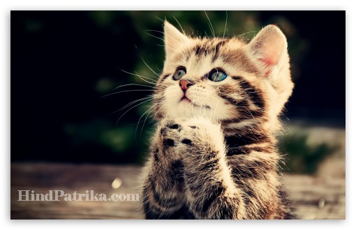 Prayer Quotes in Hindi