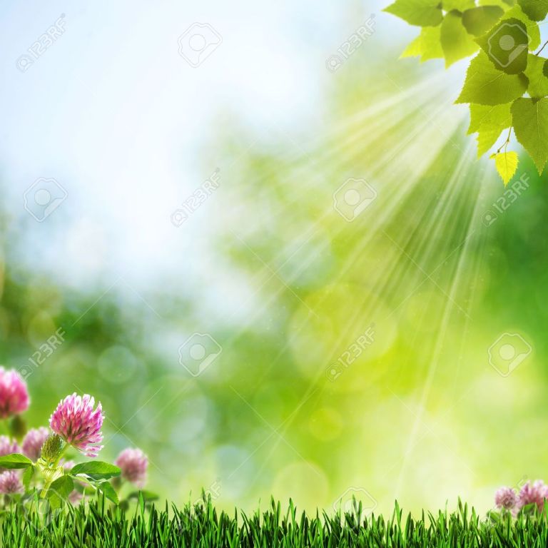 Morning Wishes Images