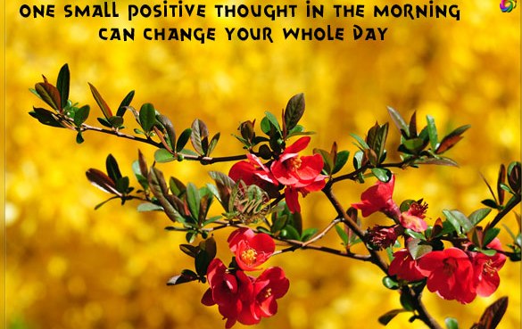 Pic of Good Morning Wishes