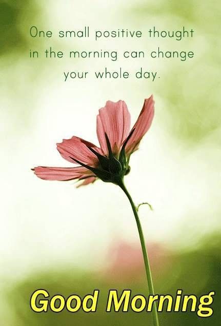 Pic of Good Morning Wishes