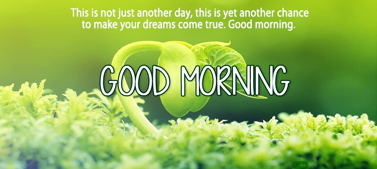 Pic of Good Morning Wishes