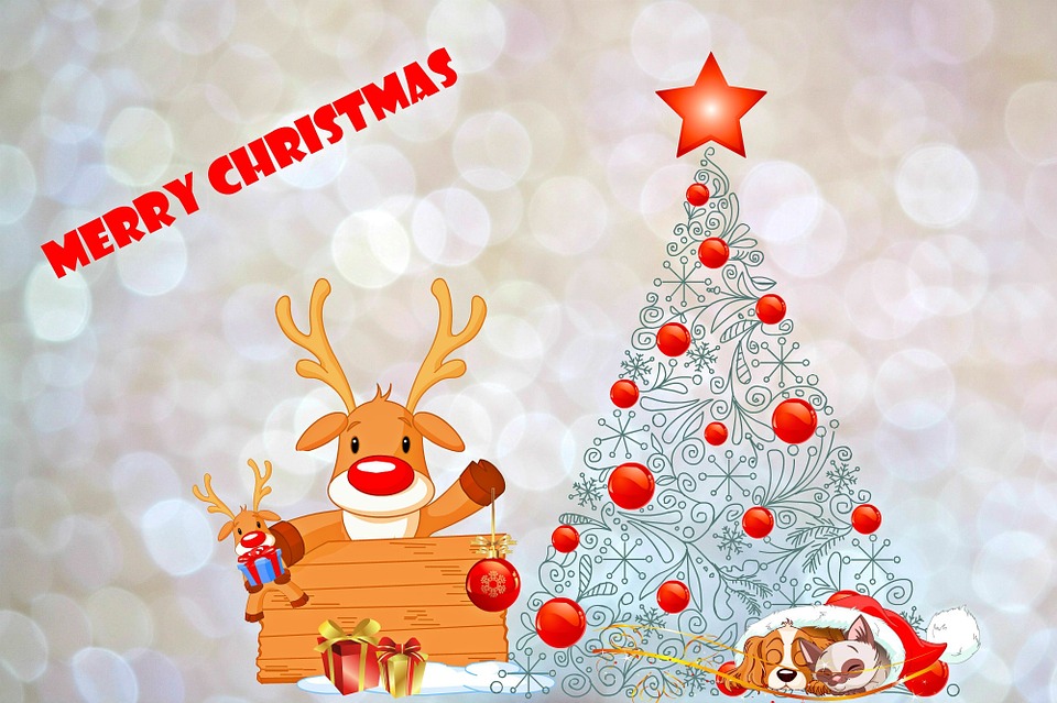 क्रिसमस ट्री ये भी कर सकता हैं | Christmas Tree Ye Bhi Kar Sakta Hain