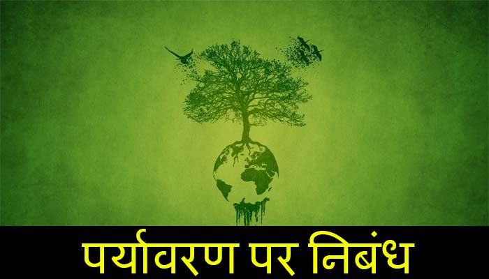 environment in hindi