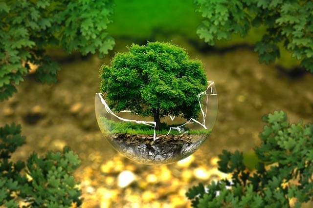 essay on environment in hindi
